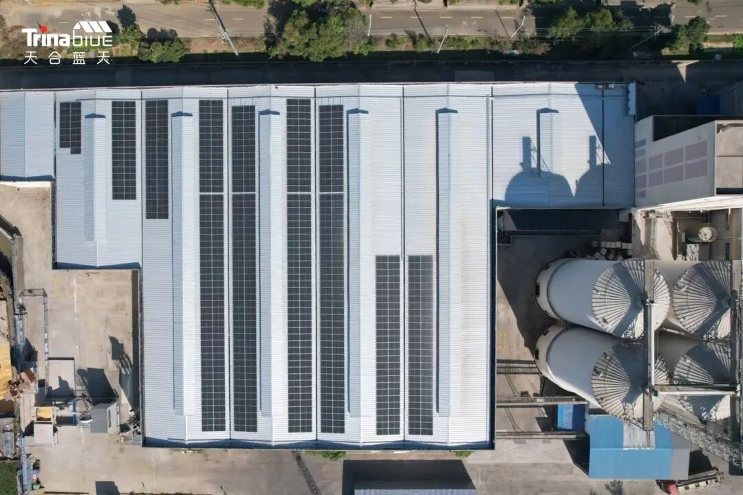 精准匹配用电需求，打造养殖业绿色转型新标杆！